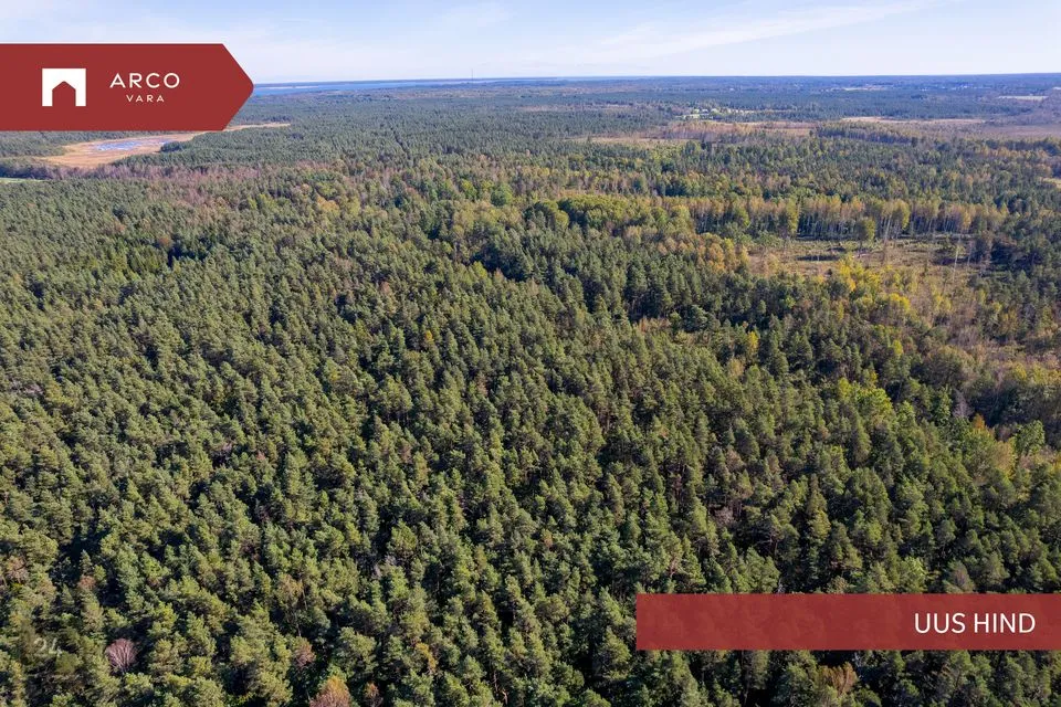 Maatulundusmaa, 136296 m² участок в Saaremaa vald, Ööriku küla