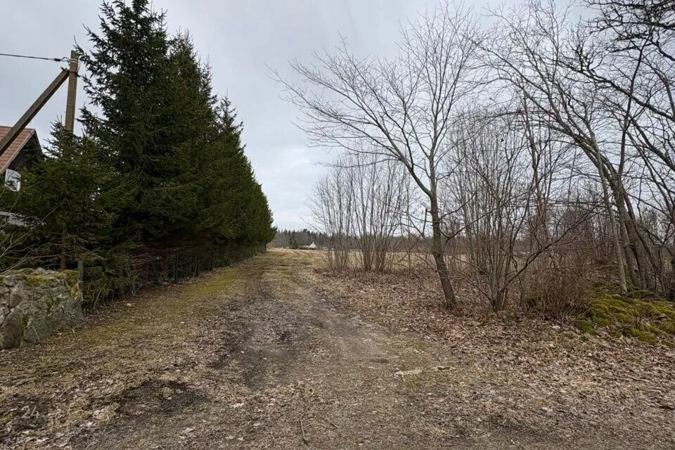 Maatulundusmaa, 78291 m² Maa  -  Muhu vald, Hellamaa küla
