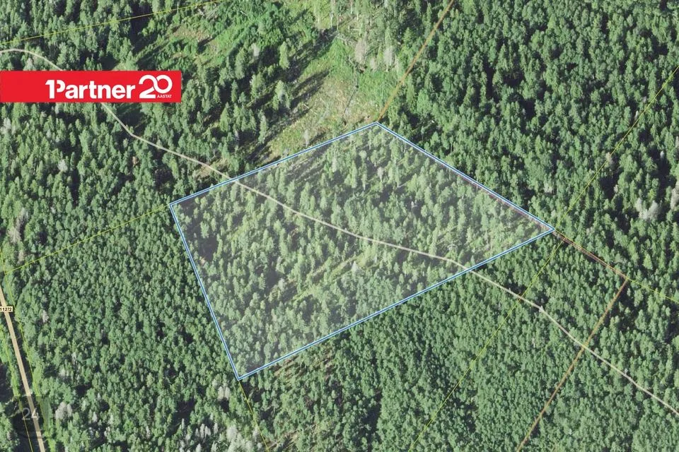 Maatulundusmaa, 26833 m² Maa - Kuusalu vald, Leesi küla