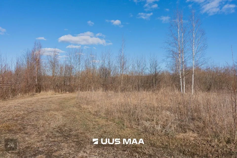 Земля жилой застройки, 3579 m² участок в Pärnu linn, Peerni küla - фото 3