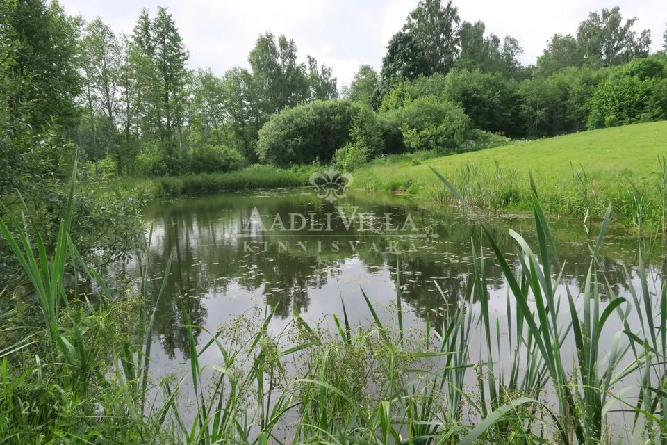 4-toaline Maja  -  Peipsiääre vald, Lümati küla - foto 5