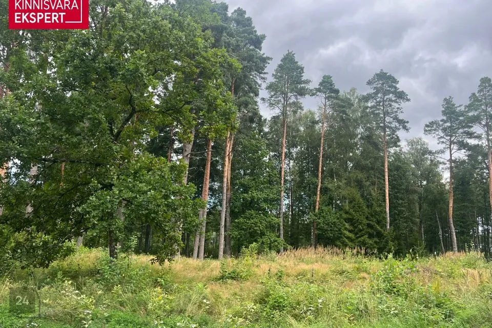 Residential land, 2007 m² land in Pärnu linn, Papsaare küla - photo 4