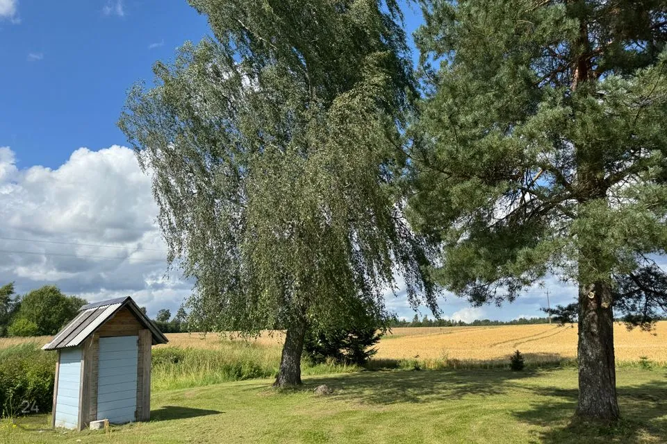 1-toaline Maja - Põhja-Sakala vald, Metsküla - foto 5