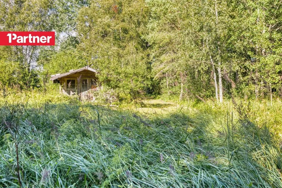 Elamumaa, 1554 m² Maa - Harku vald, Türisalu küla
