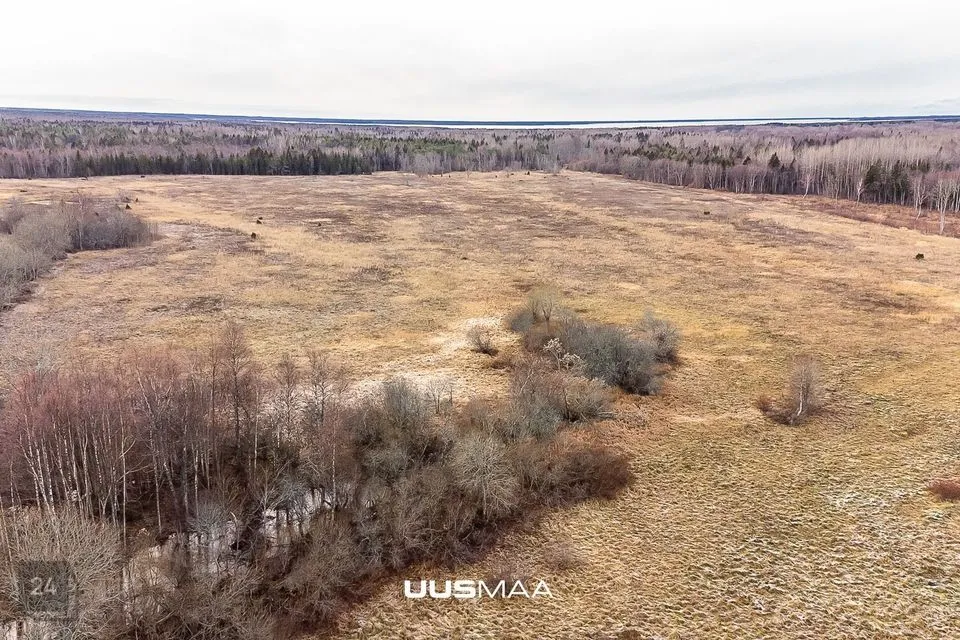 Maatulundusmaa, 10238 m² Maa  -  Lääne-Harju vald, Kersalu küla - foto 4