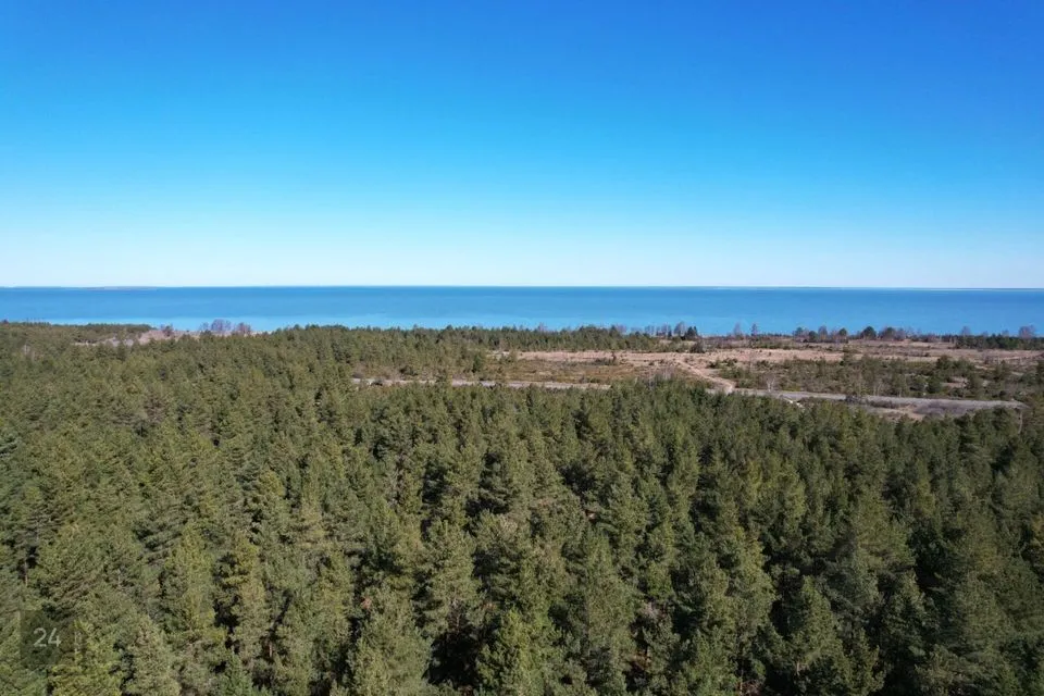 Земля жилой застройки, 9887 m² участок в Muhu vald, Kallaste küla
