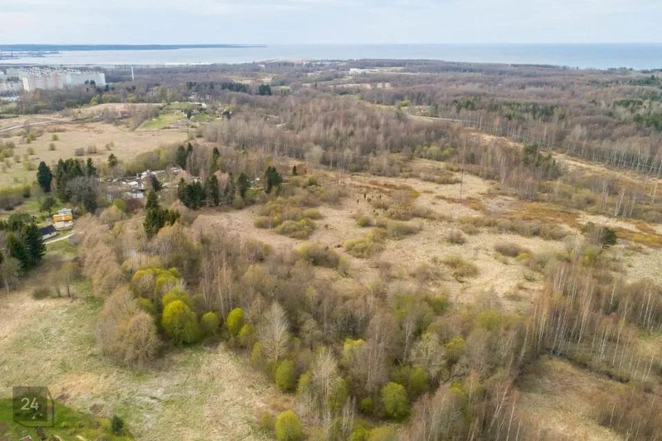 Cultivated land, 17704 m² land in Jõelähtme vald, Kallavere küla - photo 4