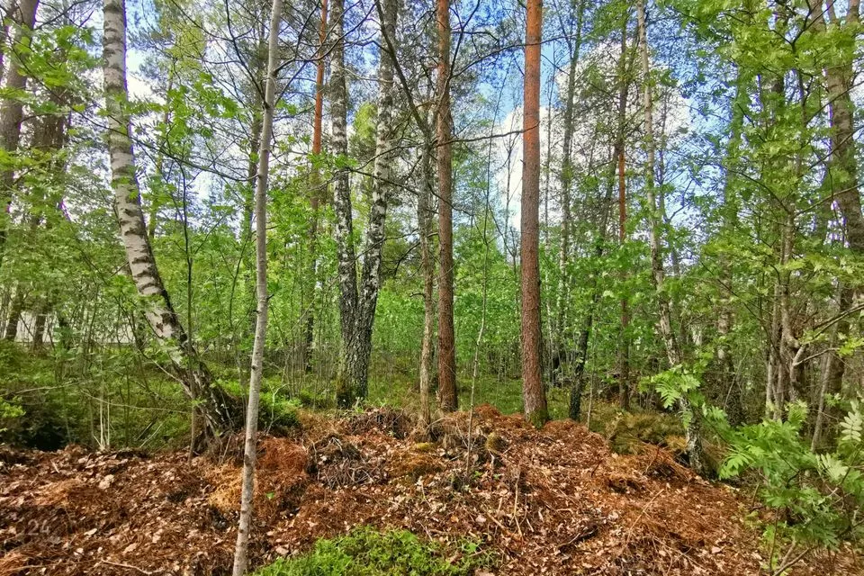 Elamumaa, 889 m² Maa - Haapsalu linn, Paralepa alevik