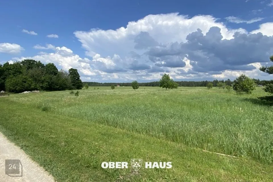 Maatulundusmaa, 4988 m² Maa  -  Märjamaa vald, Orgita küla