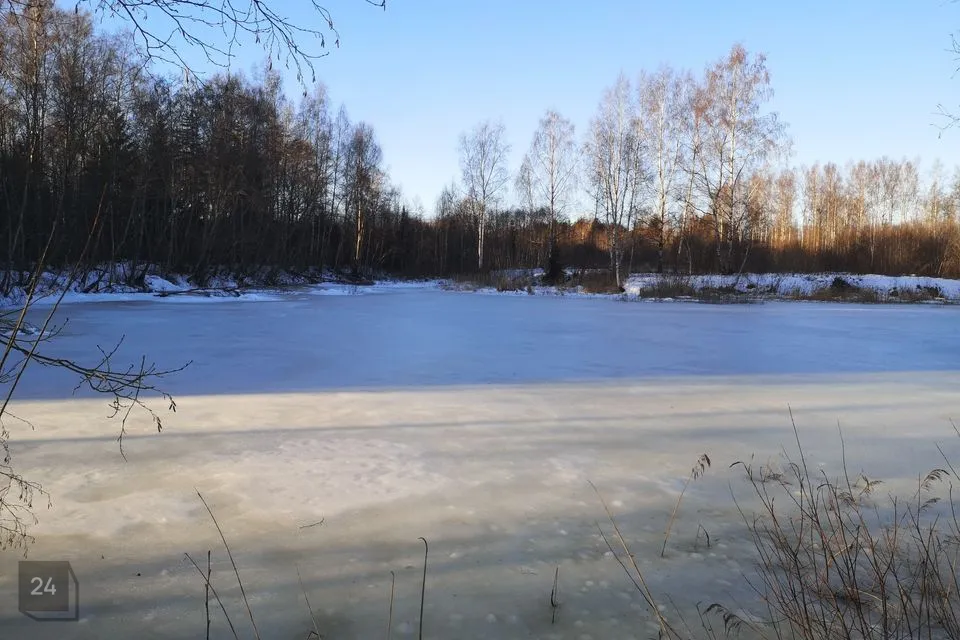 Maatulundusmaa, 119947 m² Maa  -  Jõgeva vald, Kudina küla - foto 4