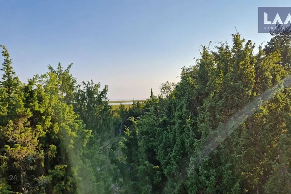 Maatulundusmaa, 81295 m² Maa  -  Saaremaa vald, Suure-Rootsi küla - foto 4