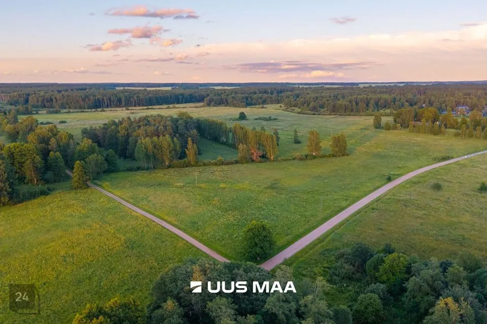 Maatulundusmaa, 120780 m² Maa  -  Kastre vald, Haaslava küla - foto 3