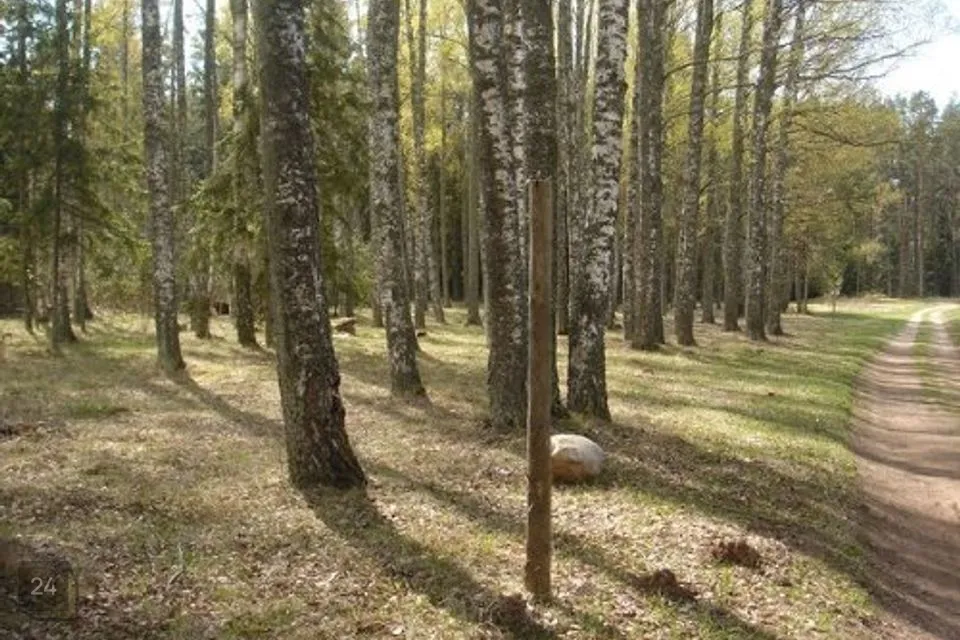 Maatulundusmaa, 7589 m² участок в Elva vald, Vehendi küla - фото 3