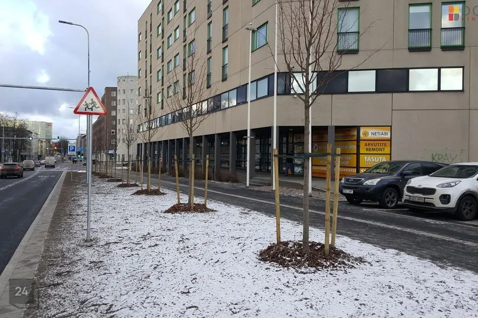 137 m² business in Tallinn, Kesklinna linnaosa