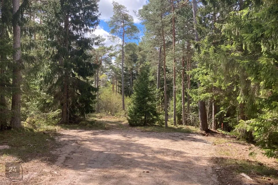 Земля жилой застройки, 14187 m² участок в Saaremaa vald, Järve küla - фото 2