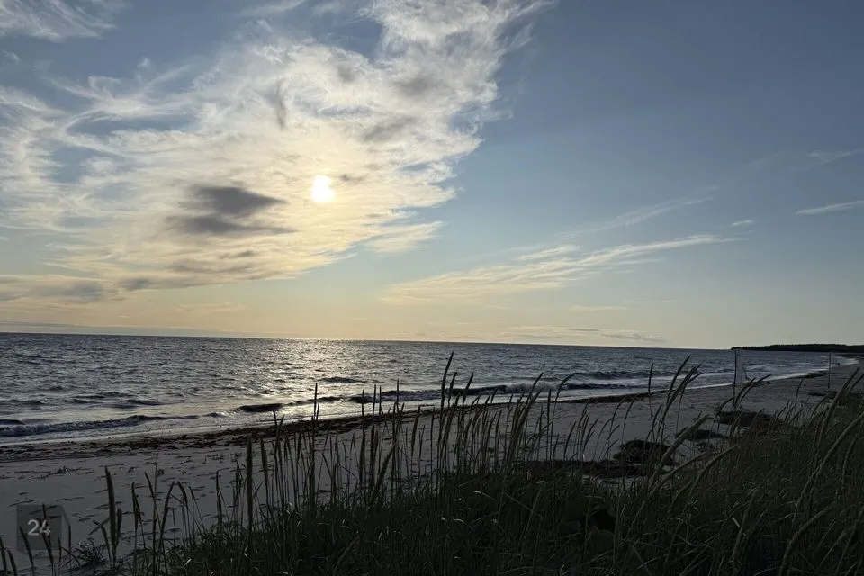 Elamumaa, 5281 m² Maa  -  Lääne-Nigula vald, Elbiku küla / Ölbäck - foto 5