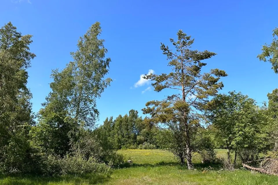 Maatulundusmaa, 9016 m² участок в Hiiumaa vald, Tammistu küla - фото 5