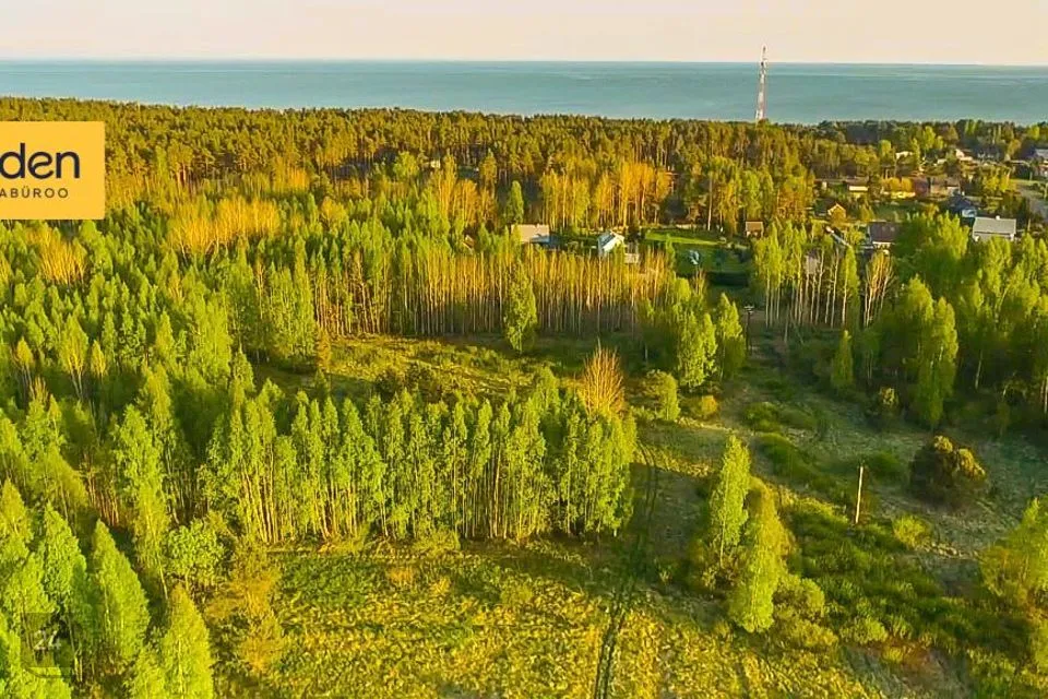 Maatulundusmaa, 7989 m² участок в Alutaguse vald, Alajõe küla