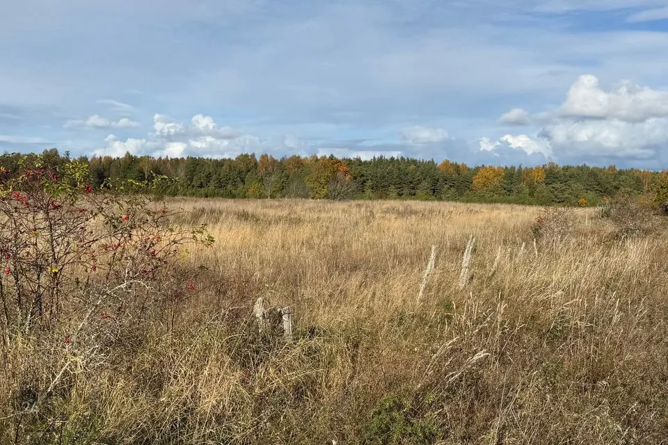 Maatulundusmaa, 25735 m² участок в Saaremaa vald, Pammana küla - фото 4
