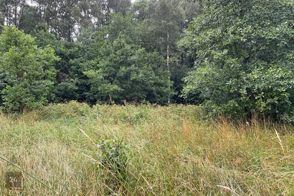 Maatulundusmaa, 47800 m² участок в Saaremaa vald, Metsara küla - фото 3