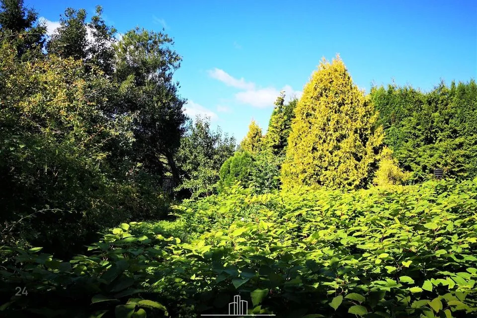 3-toaline Maja - Viimsi vald, Rohuneeme küla - foto 4