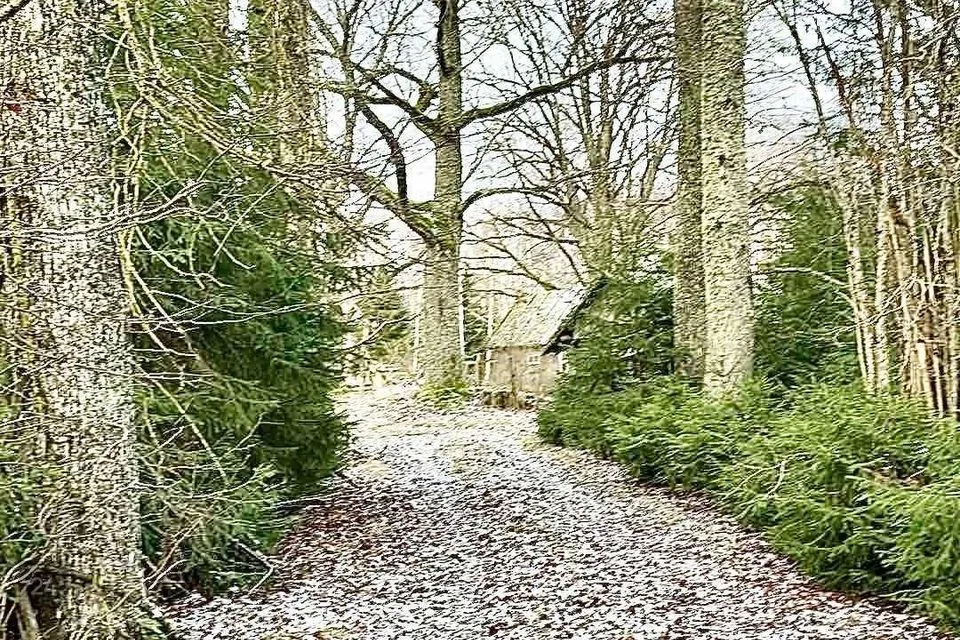 2-toaline Maja  -  Viljandi vald, Roosilla küla - foto 3