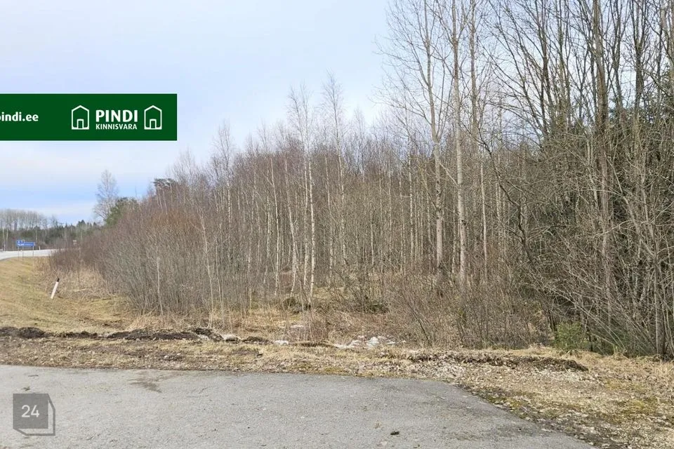 Maatulundusmaa, 13597 m² участок в Märjamaa vald, Sipa küla - фото 5