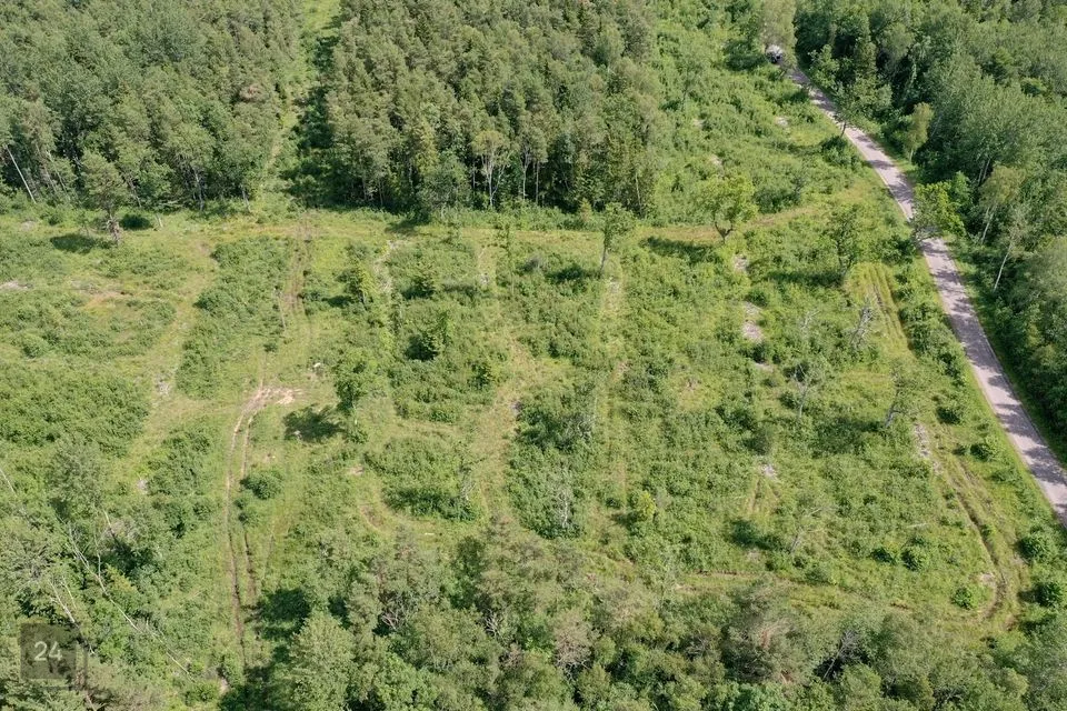 Maatulundusmaa, 69800 m² Maa  -  Saaremaa vald, Mustjala küla - foto 4