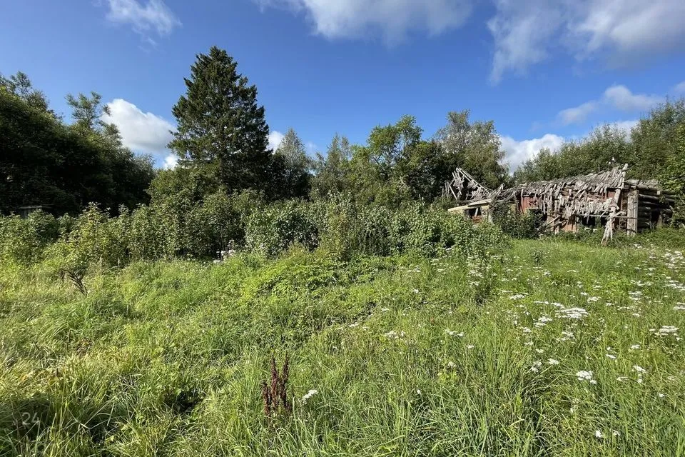 Elamumaa, 16022 m² Maa  -  Saaremaa vald, Linnuse küla - foto 3