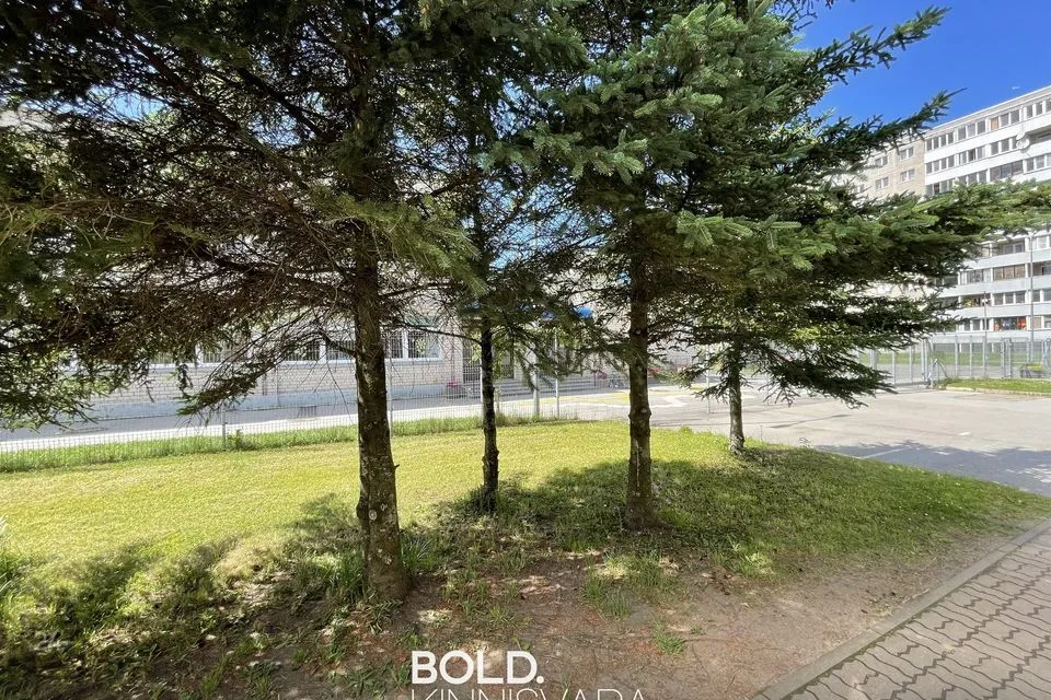 Mitme sihtotstarbega, 10 m² Äripind - Tallinn, Lasnamäe linnaosa - foto 4