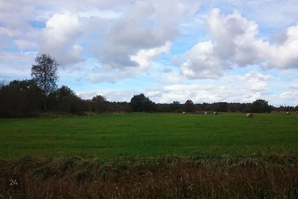 Elamumaa, 83614 m² Maa - Harku vald, Türisalu küla - foto 5