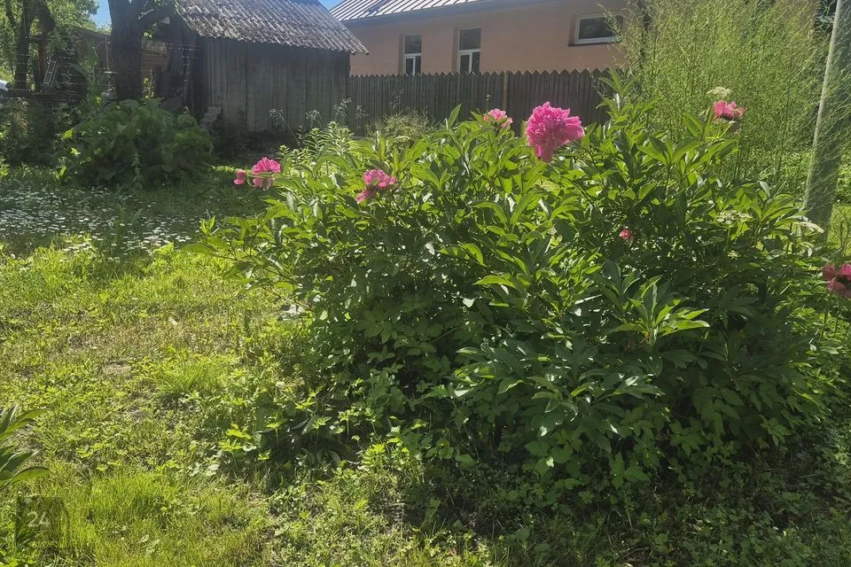 1-toaline Korter  -  Pärnu linn, Pärnu linn - foto 3