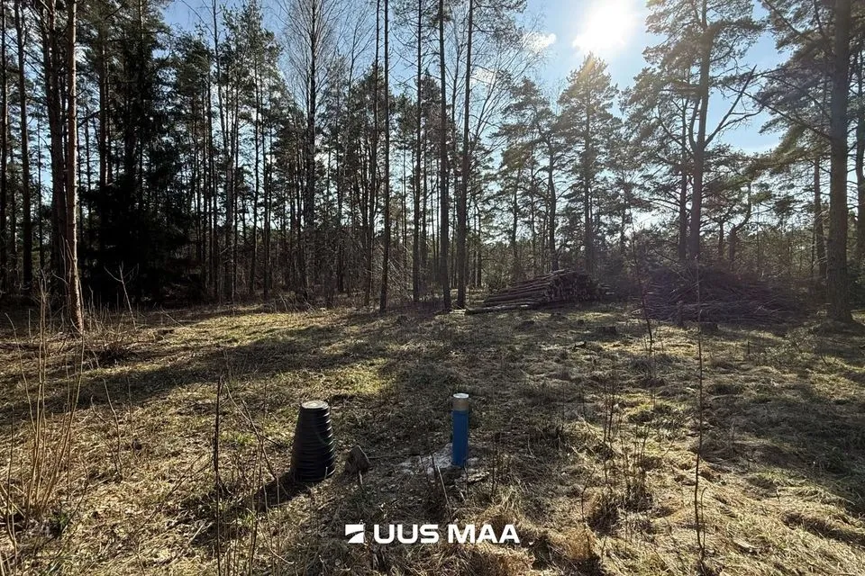 Земля жилой застройки, 4905 m² участок в Saaremaa vald, Laugu küla - фото 4