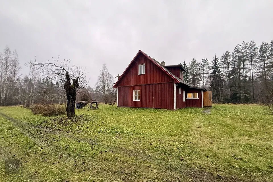 Maatulundusmaa, 103155 m² Maa  -  Türi vald, Lauri küla - foto 2