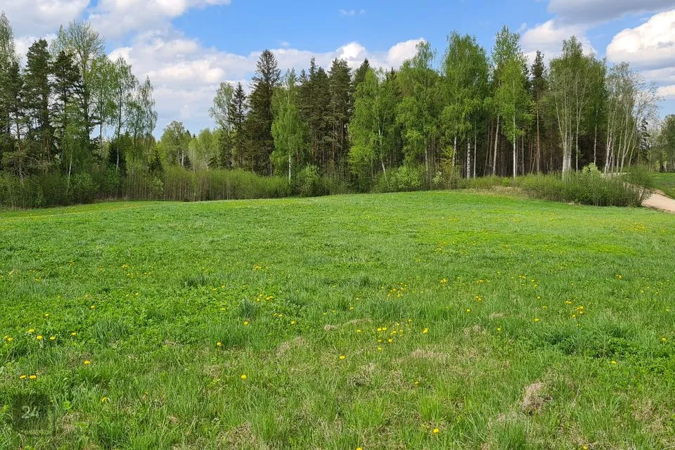 Maatulundusmaa, 145200 m² Maa  -  Otepää vald, Pedajamäe küla - foto 4