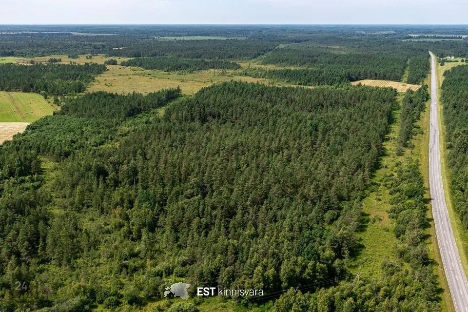 Maatulundusmaa, 129486 m² Maa - Lääneranna vald, Tõitse küla - foto 5