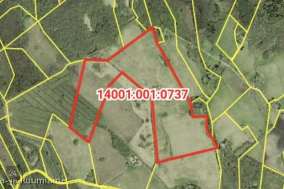 Cultivated land, 531433 m² land in Anija vald, Aavere küla