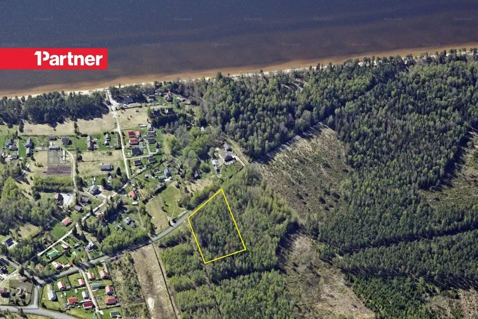 Maatulundusmaa, 10983 m² участок в Alutaguse vald, Remniku küla - фото 2