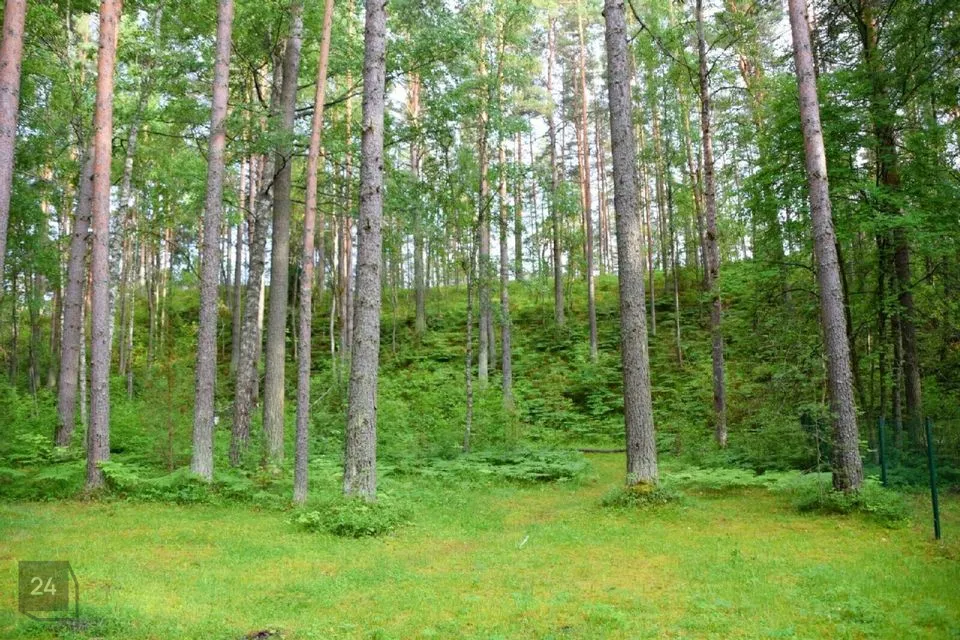 10-room Summer home in Alutaguse vald, Alajõe küla - photo 5