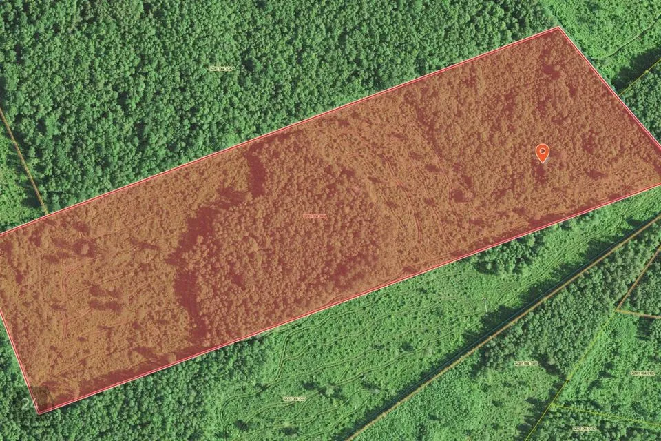 Maatulundusmaa, 107600 m² участок в Lääne-Nigula vald, Paslepa küla / Pasklep