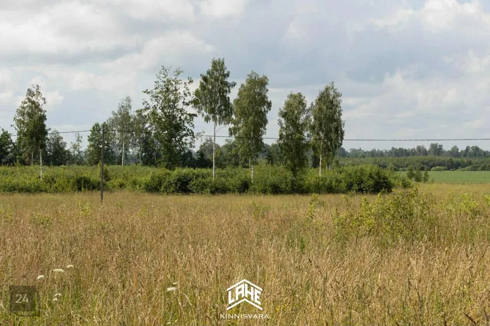 Maatulundusmaa Maa  -  Tõrva vald, Kalme küla - foto 2