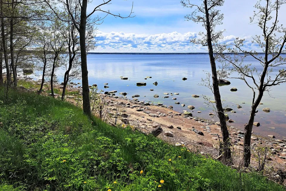Земля жилой застройки, 4960 m² участок в Kuusalu vald, Suurpea küla - фото 5