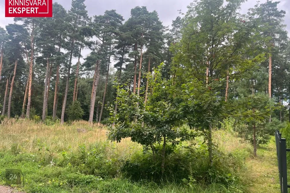 Residential land, 2007 m² land in Pärnu linn, Papsaare küla