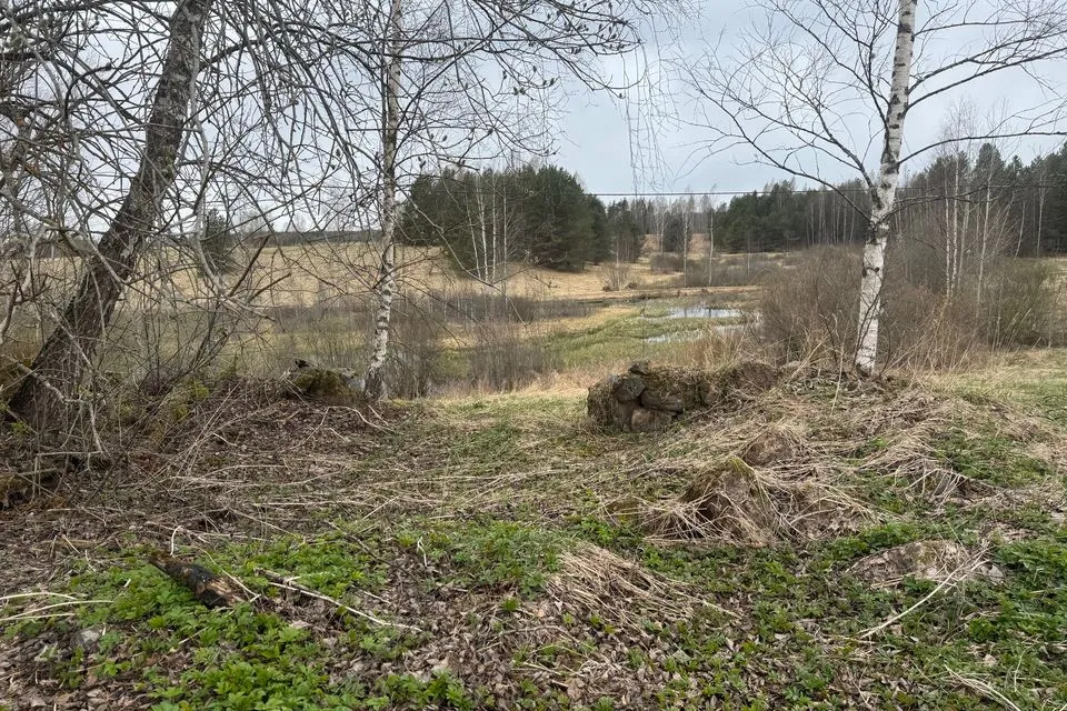 Maatulundusmaa, 14237 m² Maa  -  Setomaa vald, Vaartsi küla - foto 2