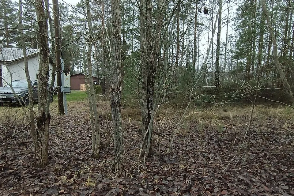 Elamumaa, 889 m² Maa  -  Haapsalu linn, Paralepa alevik