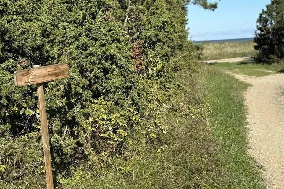 52179 m² участок в Vormsi vald, Borrby küla - фото 2