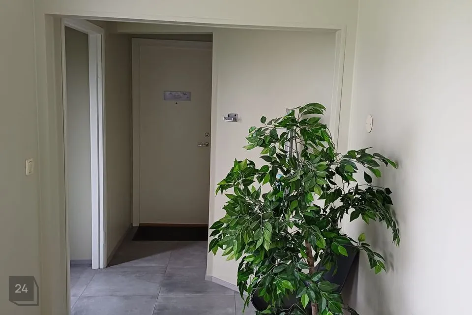 Muu, 19 m² Äripind  -  Rakvere linn - foto 3