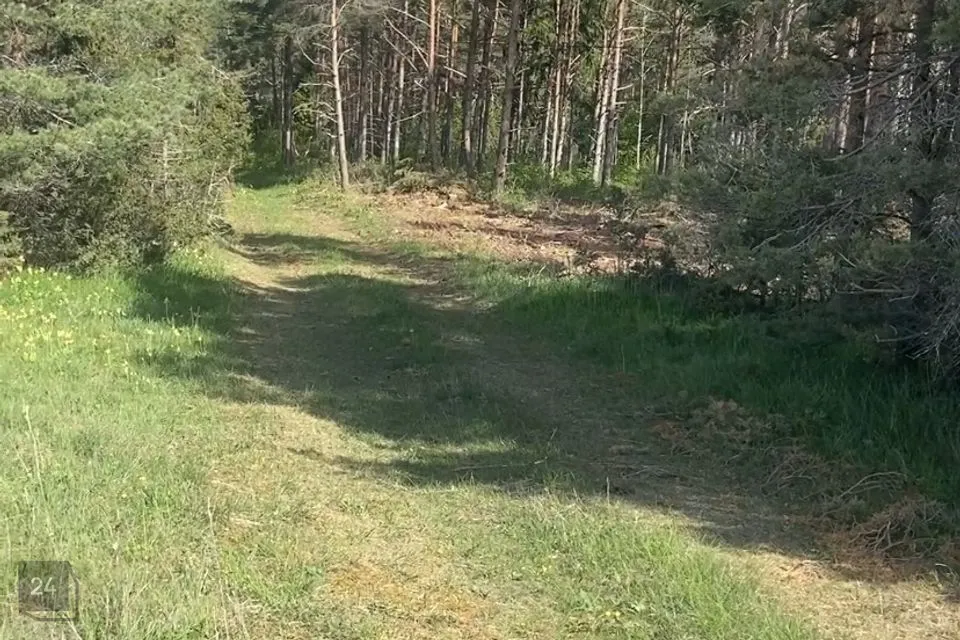 Maatulundusmaa, 9897 m² Maa - Saaremaa vald, Austla küla