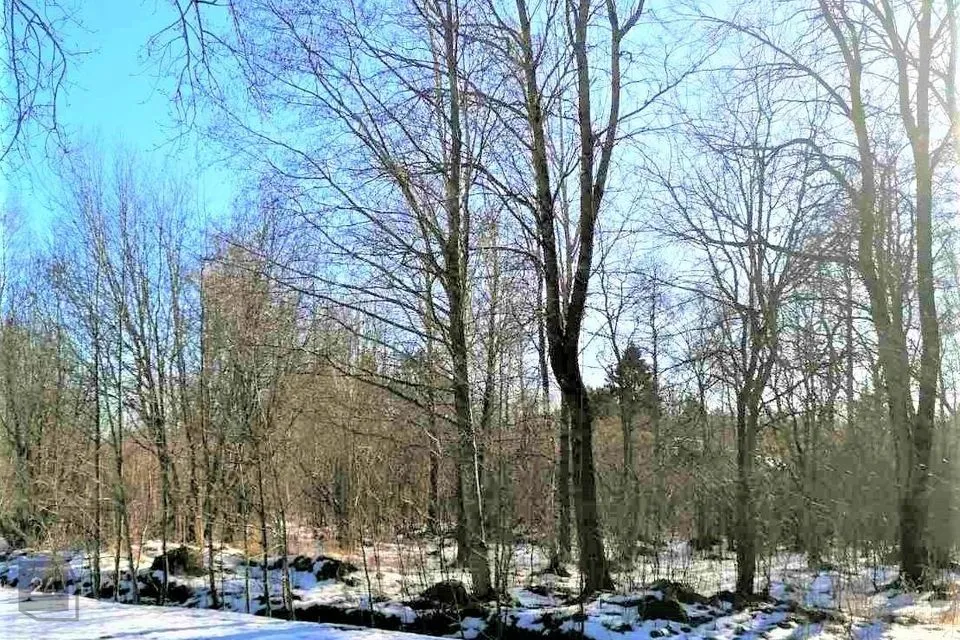 Maatulundusmaa, 7035 m² Maa - Jõelähtme vald, Kallavere küla - foto 4