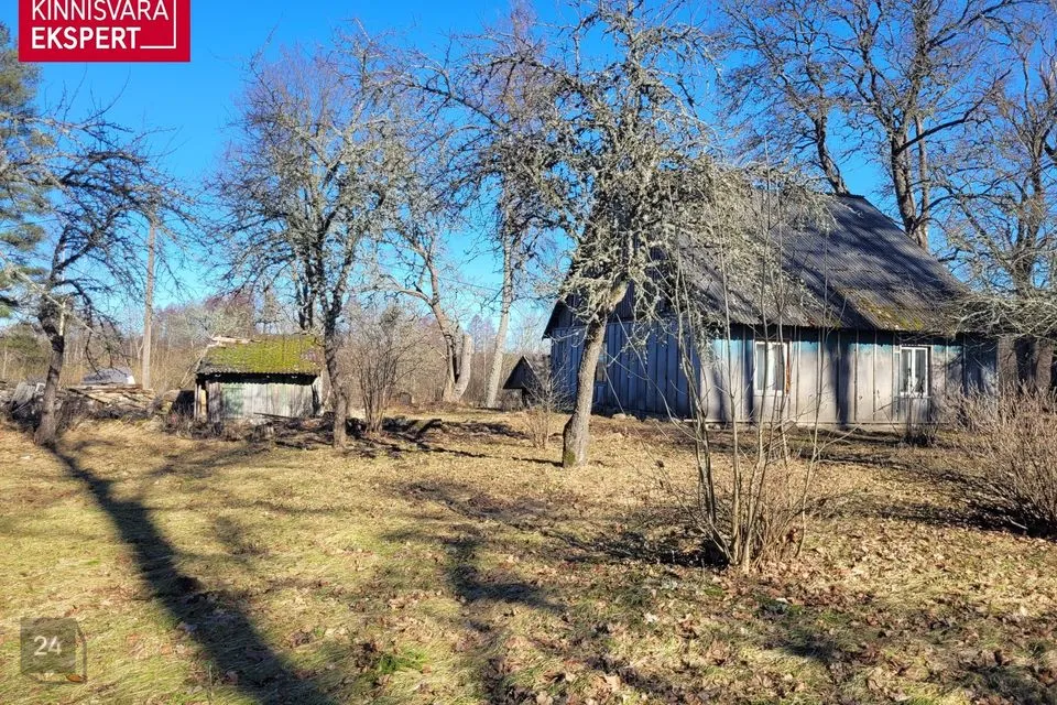 3-toaline Maja  -  Mulgi vald, Sudiste küla - foto 4
